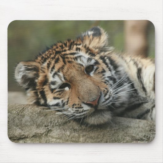 Schlafenbaby-Tiger Mousepad (Vorne)