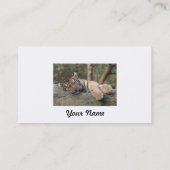 Schlafenbaby-Tiger Visitenkarte (Rückseite)