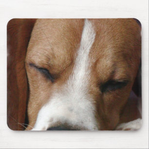 SchlafenBeagle-Mausunterlage Mousepad