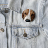 SchlafenBeagle-runder Knopf Button (Beispiel)