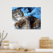 Schlafenblau Aby Katze im Blau Poster (Küche)