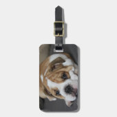 Schlafenbulldoggen-Gepäckanhänger Gepäckanhänger (Vorderseite vertikal)