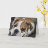 Schlafenbulldoggen-Gruß-Karte Karte (Gelbe Blume)