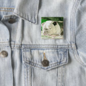 Schlafenbulldoggen-Knopf Button (Beispiel)
