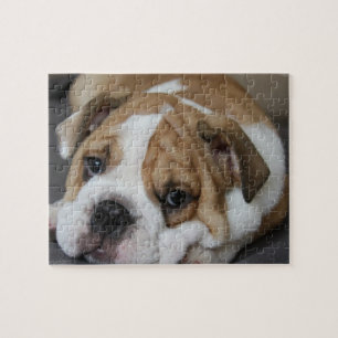 Schlafenbulldoggen-Puzzlespiel Puzzle