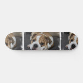 Schlafenbulldoggen-Skateboard Skateboard (Horizontal)