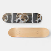 Schlafenbulldoggen-Skateboard Skateboard (Horizontal)