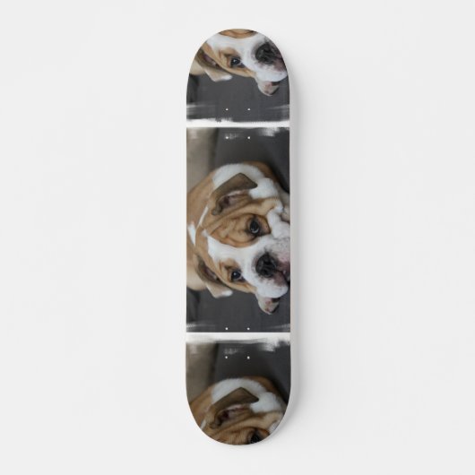 Schlafenbulldoggen-Skateboard Skateboard (Vorne)