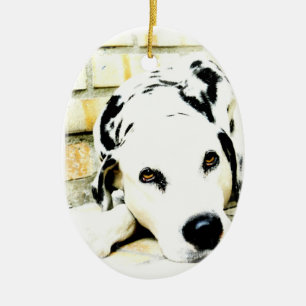 SchlafenDalmatiner-Verzierungen Keramik Ornament
