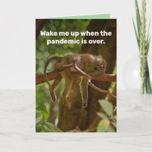 Schlafende Affe - Weck mich auf, wenn die Pandemie