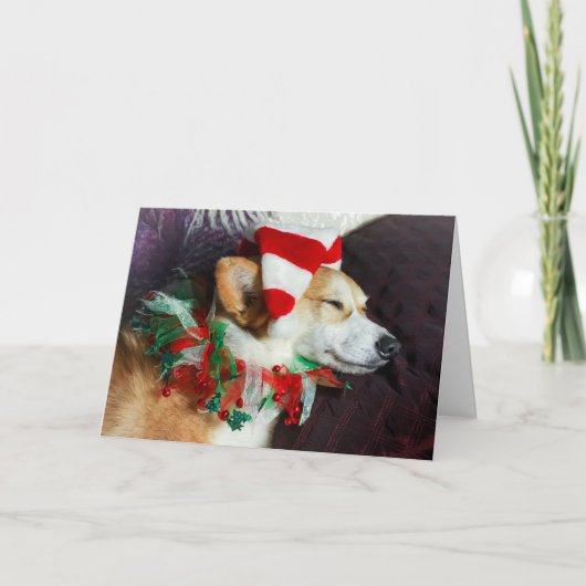 Schlafende Corgi Elf Weihnachtskarte Karte (Vorderseite)