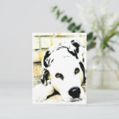 Schlafende Dalmatiner Postkarten (Stehend Vorderseite)