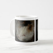 Schlafende Dreifarbenkatze Kaffeetasse (Vorderseite Links)