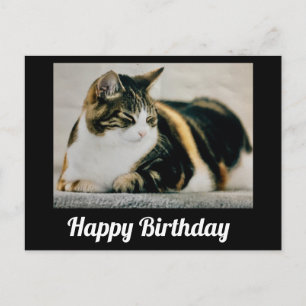 Schlafende dreifarbige Katze Süß Alles Gute zum Ge Postkarte