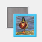 Schlafende Dusche Magnet (Vorderseite/Rückseite)