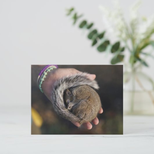 Schlafende Eichhörnchen Postkarte (Stehend Vorderseite)