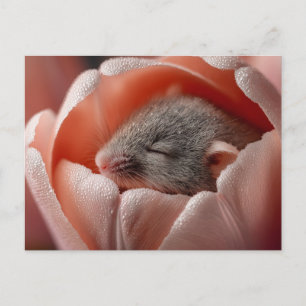 Schlafende Erntemaus in einer taufeuchten Tulpe Feiertagspostkarte