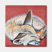 Schlafende Fennec Fox-Malerei Magnet (Vorne)