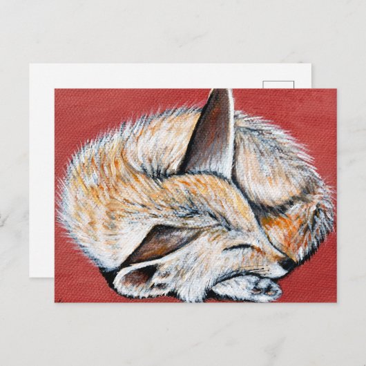 Schlafende Fennec Fox-Malerei Postkarte (Vorne/Hinten)