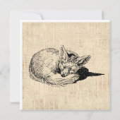 Schlafende Fohlen Illustrierte Kunst Niedliches Vi Karte (Rückseite)