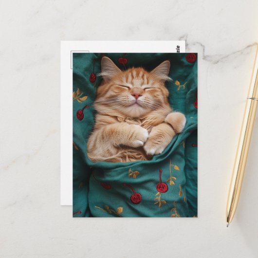 Schlafende Ingwerkatze Postkarte (Vorderseite/Rückseite Beispiel)