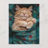 Schlafende Ingwerkatze Postkarte (Vorderseite)