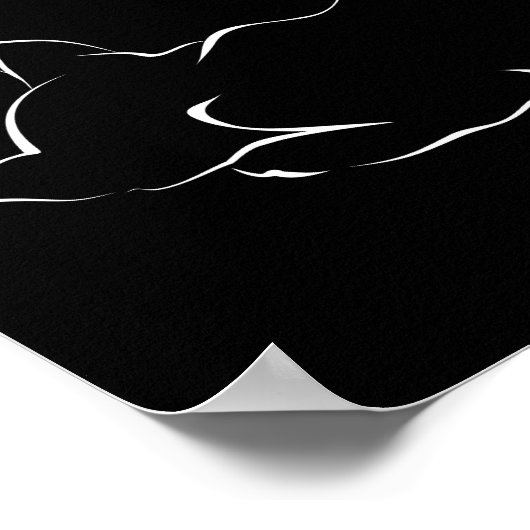 Schlafende Katze. Abbildung Poster (Ecke)