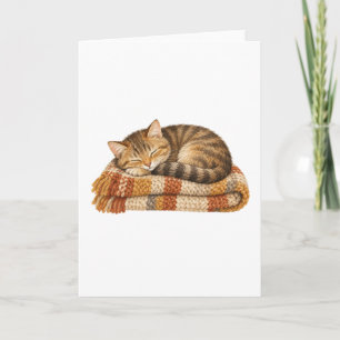 Schlafende Katze auf einer gestrickten Decke Karte