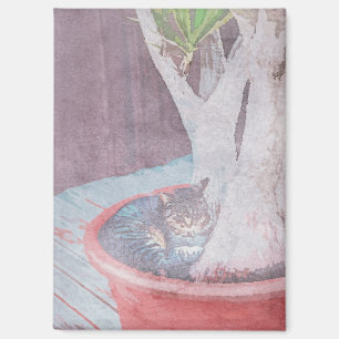 Schlafende Katze Magnet