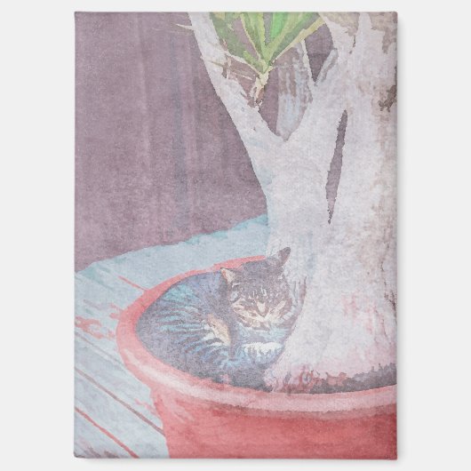 Schlafende Katze Magnet (Vorderseite)