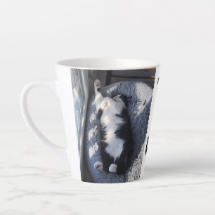 Schlafende Katze Milchtasse