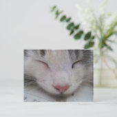 Schlafende Katze Postkarte (Stehend Vorderseite)