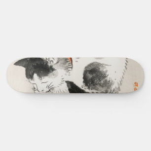 Schlafende Katze Skateboard