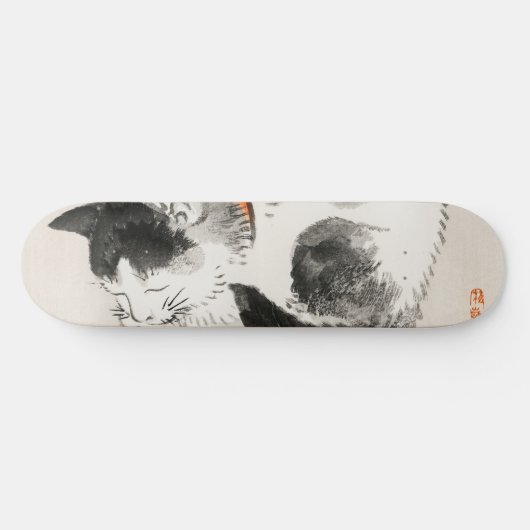 Schlafende Katze Skateboard (Horizontal)