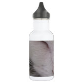 Schlafende Katze Trinkflasche (Links)