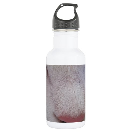 Schlafende Katze Trinkflasche (Vorderseite)
