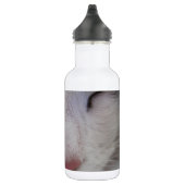 Schlafende Katze Trinkflasche (Rechts)