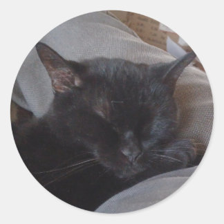 Schlafende Katzenaufkleber Runder Aufkleber