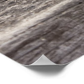 Schlafende Kretische Katzen Poster (Ecke)