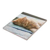 Schlafende Langeginger-Katze Fliese (Seite)
