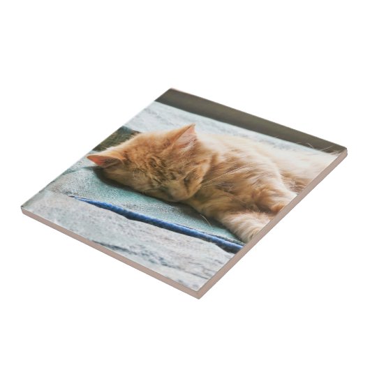 Schlafende Langeginger-Katze Fliese (Seite)