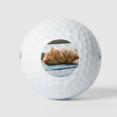 Schlafende Langeginger-Katze Golfball (Vorderseite)