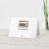 Schlafende Langeginger-Katze Karte (Rückseite)