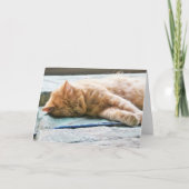 Schlafende Langeginger-Katze Karte (Vorderseite)