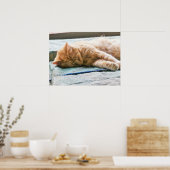 Schlafende Langeginger-Katze Poster (Küche)