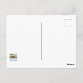 Schlafende Langeginger-Katze Postkarte (Rückseite)