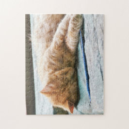 Schlafende Langeginger-Katze Puzzle