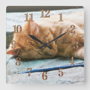 Schlafende Langeginger-Katze Quadratische Wanduhr