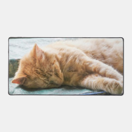 Schlafende Langeginger-Katze Schreibtischunterlage