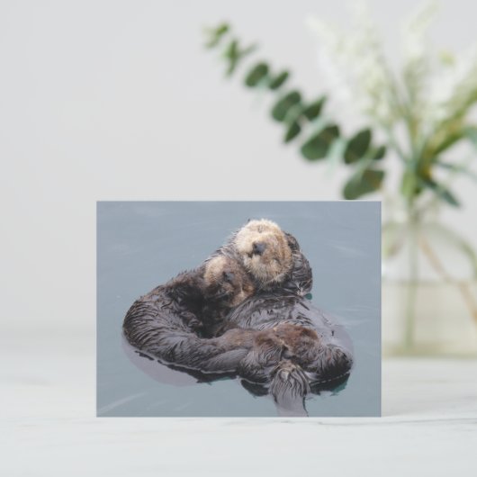 Schlafende Meeresotter Mutter und Jungfrau Postkarte (Stehend Vorderseite)